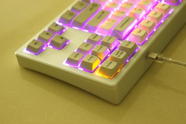 올리기코알라1.jpg