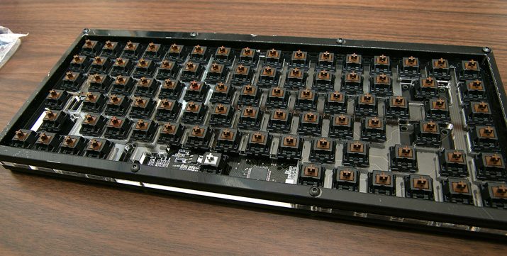 IMGP6195.jpg