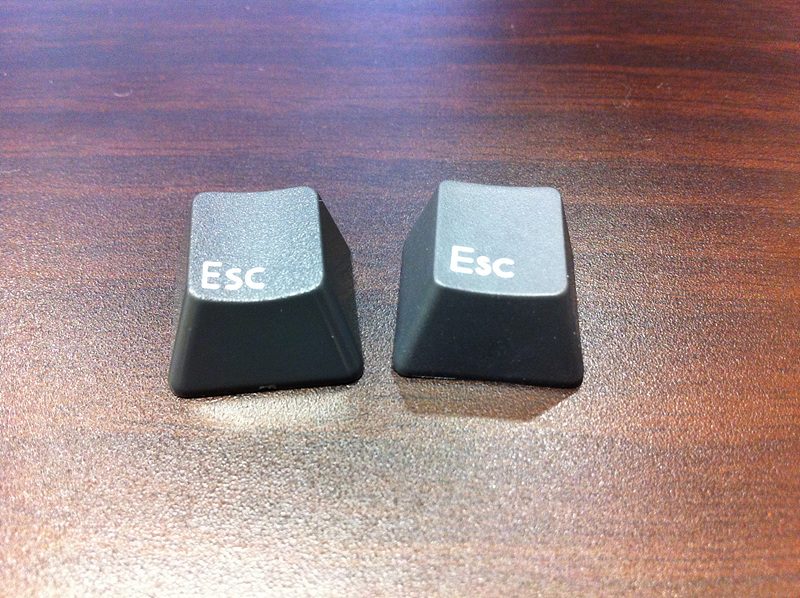 IMG_1485.jpg