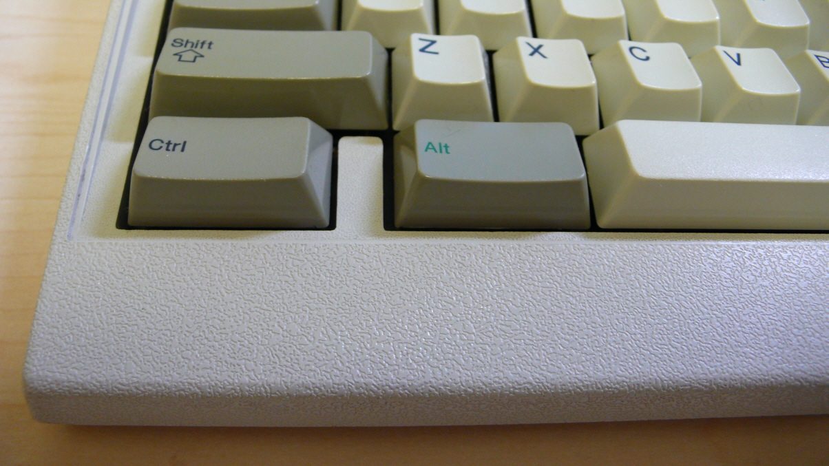 P1030504.JPG
