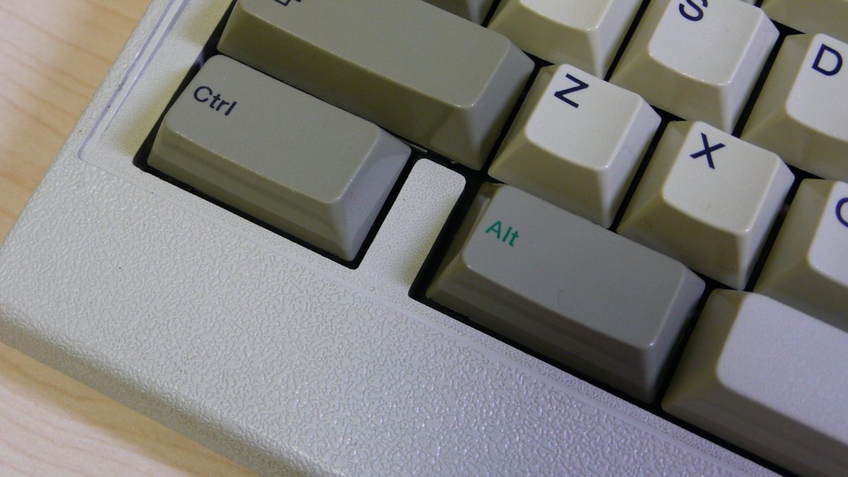 P1030529.JPG