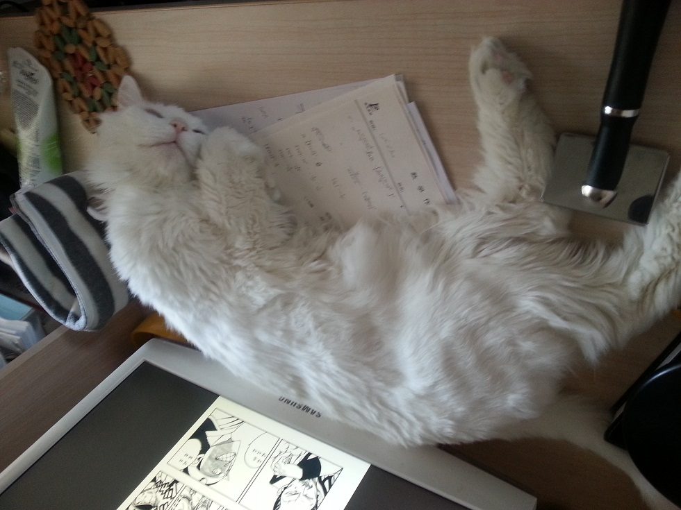 20121205_131300.jpg