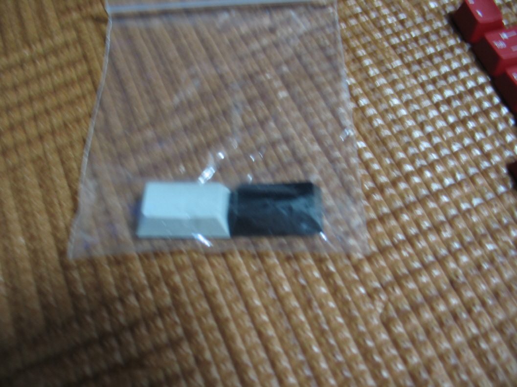 크기변환_IMG_3263.JPG