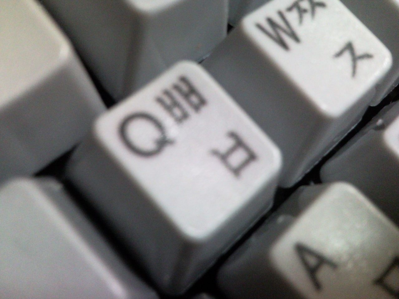 P100114002.jpg