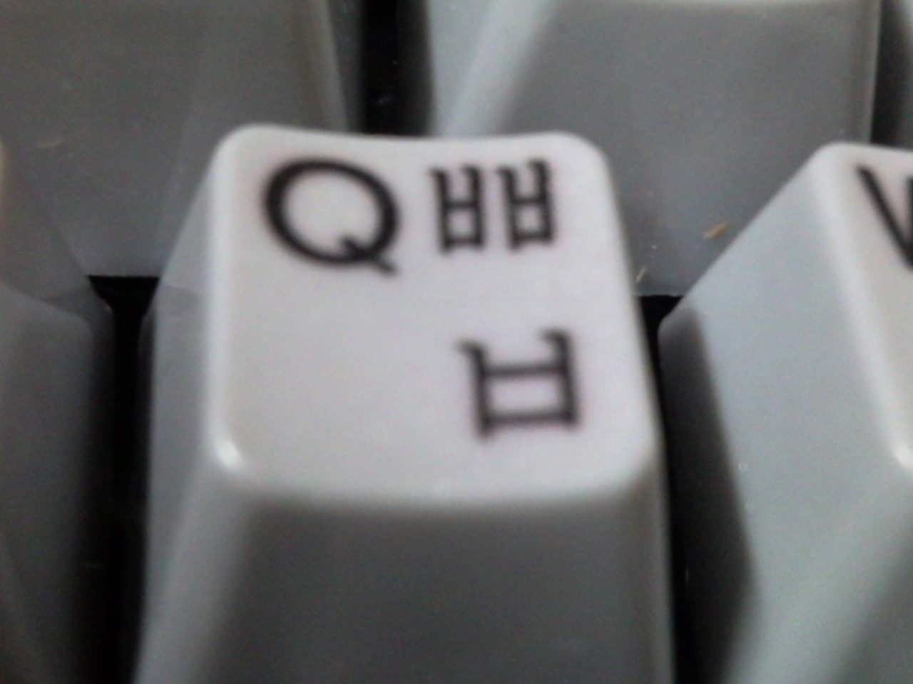 P100114019.jpg
