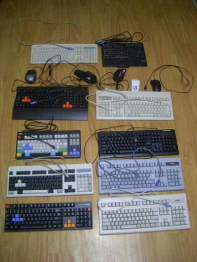 CIMG5173.jpg