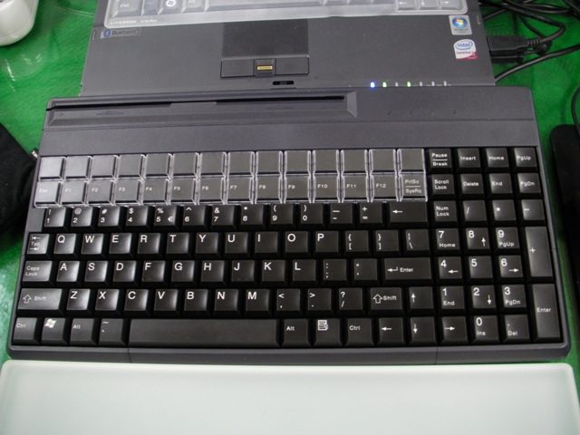 SANY1747.jpg