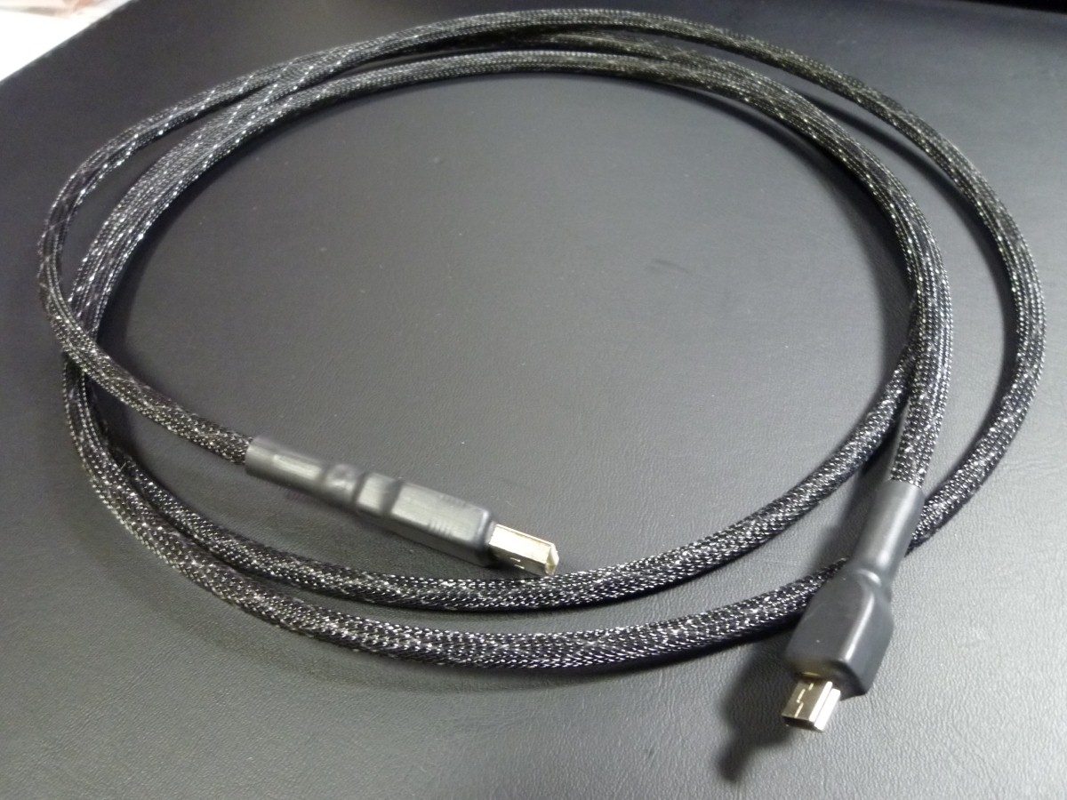 P1040986 (Custom).JPG
