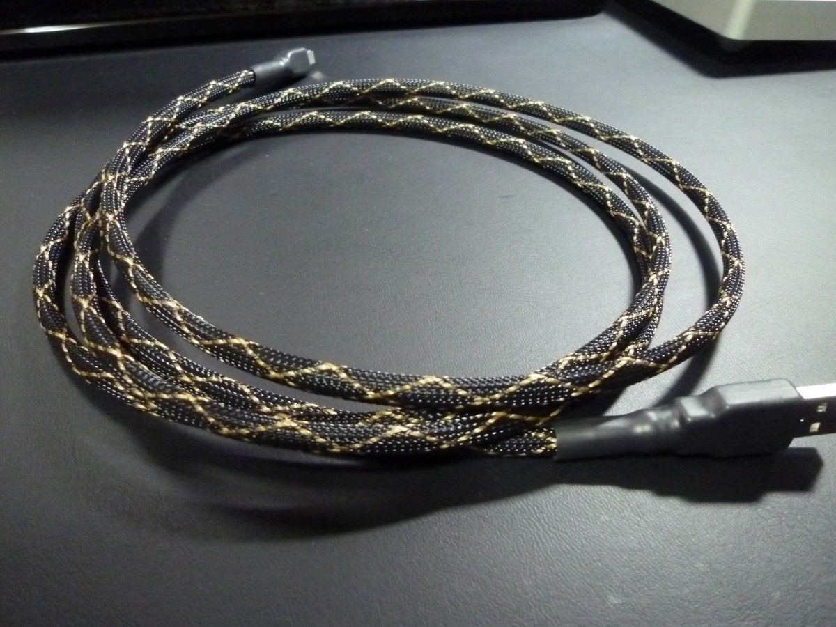 P1040993 (Custom).JPG