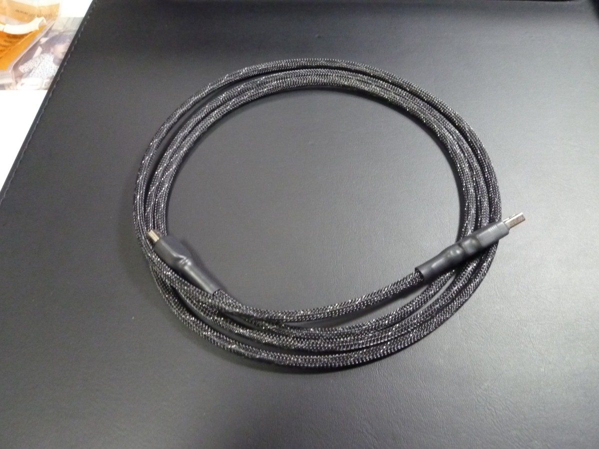 P1040988 (Custom).JPG