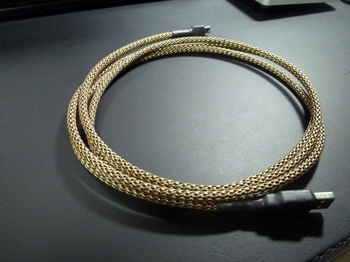 P1040991 (Custom).JPG