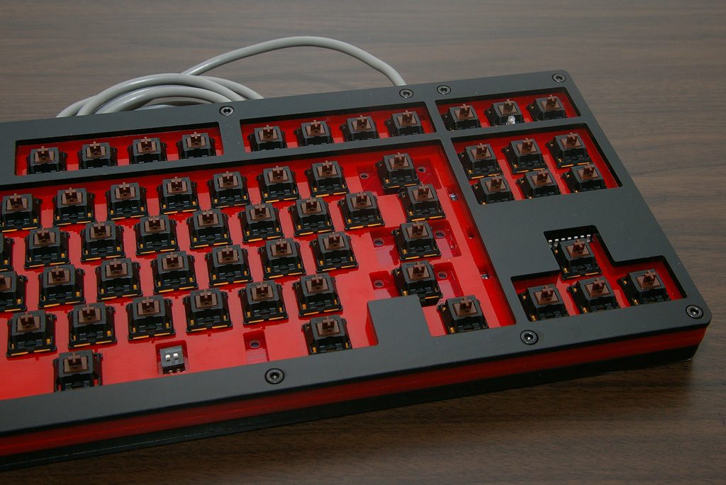 IMGP7404.jpg