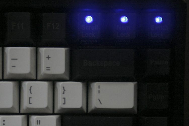 _Resize_IMG_6667.jpg