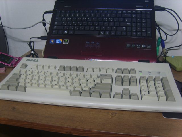 S8000489.JPG