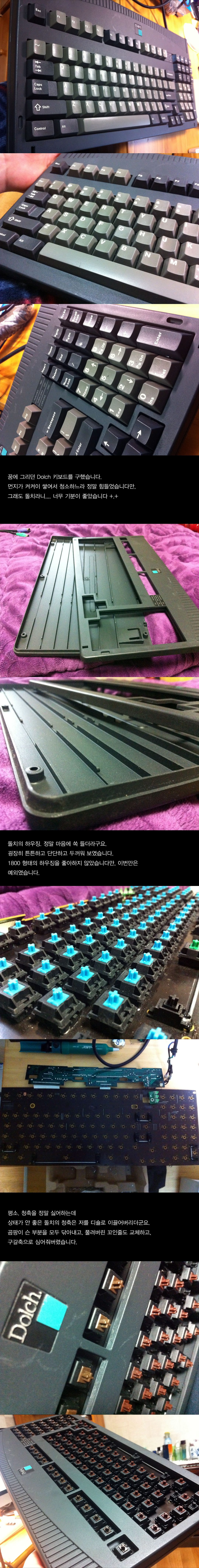 돌치.jpg