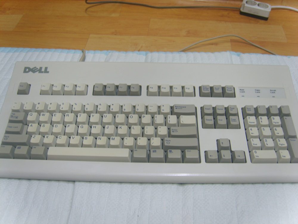 5565.JPG