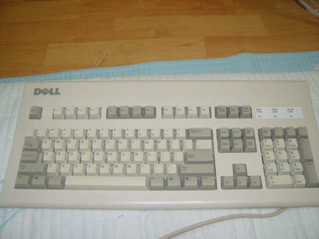S8000359.JPG