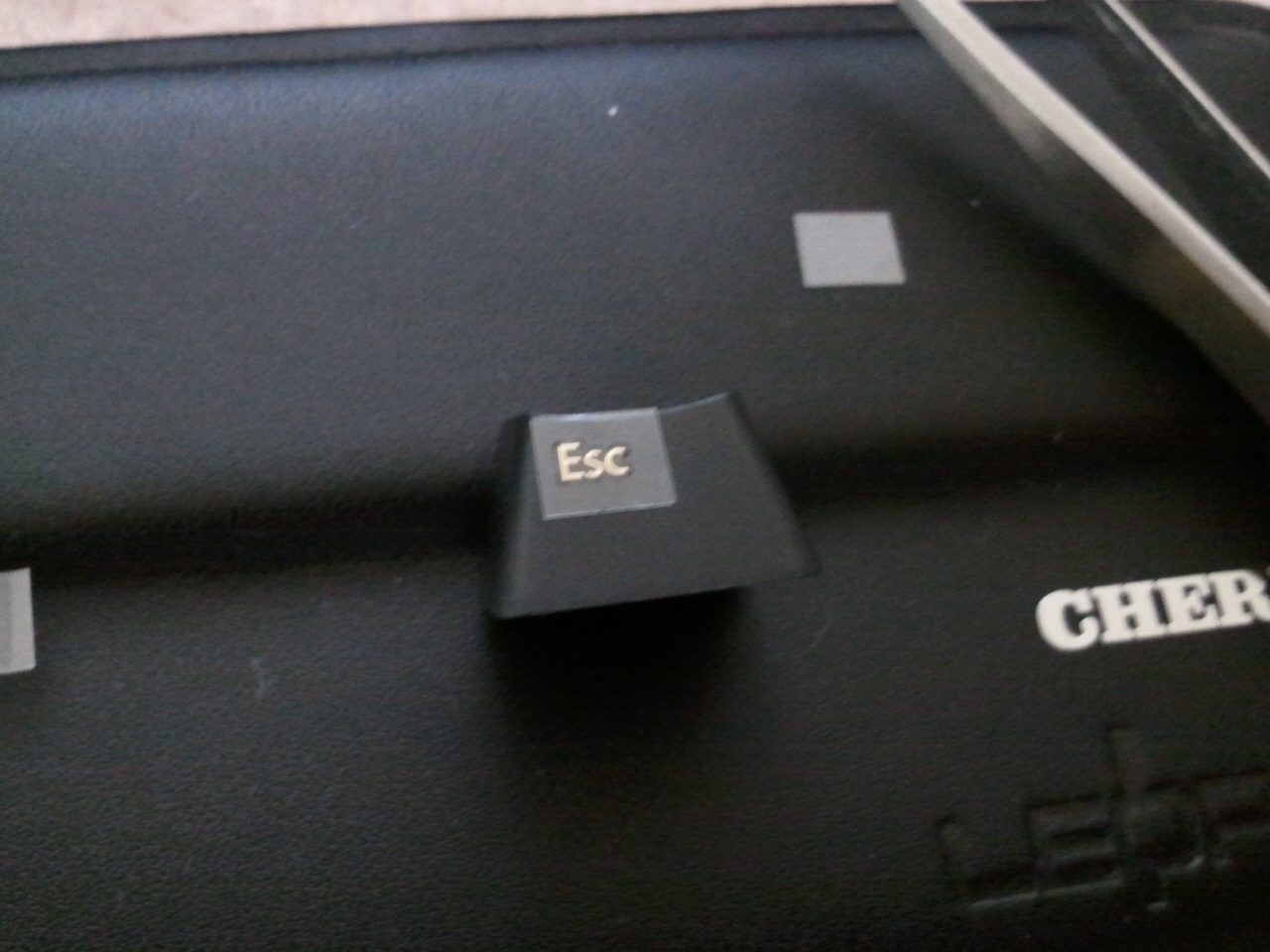 2011-06-09 21.00.36.jpg