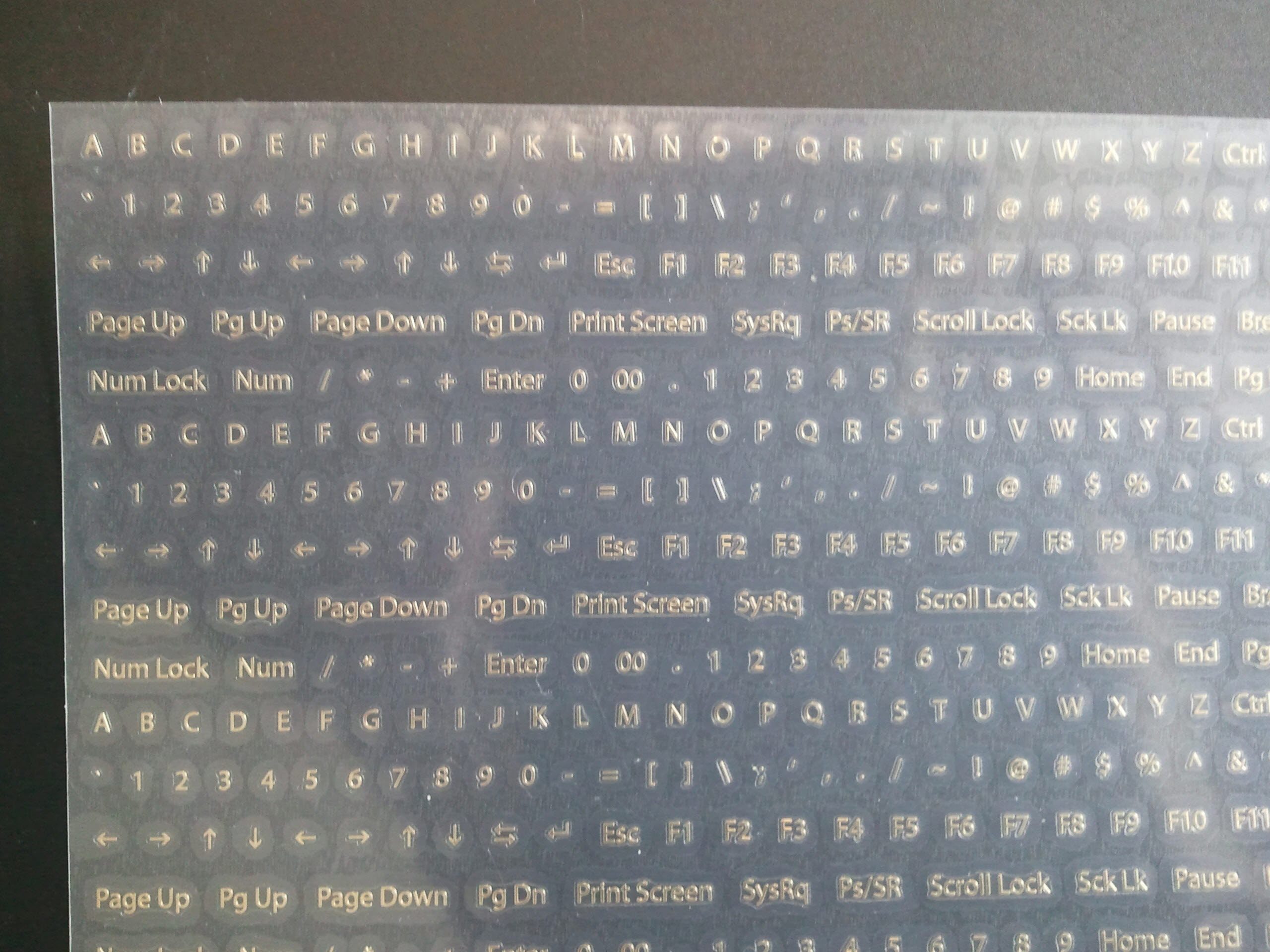 2011-06-09 11.56.13.jpg