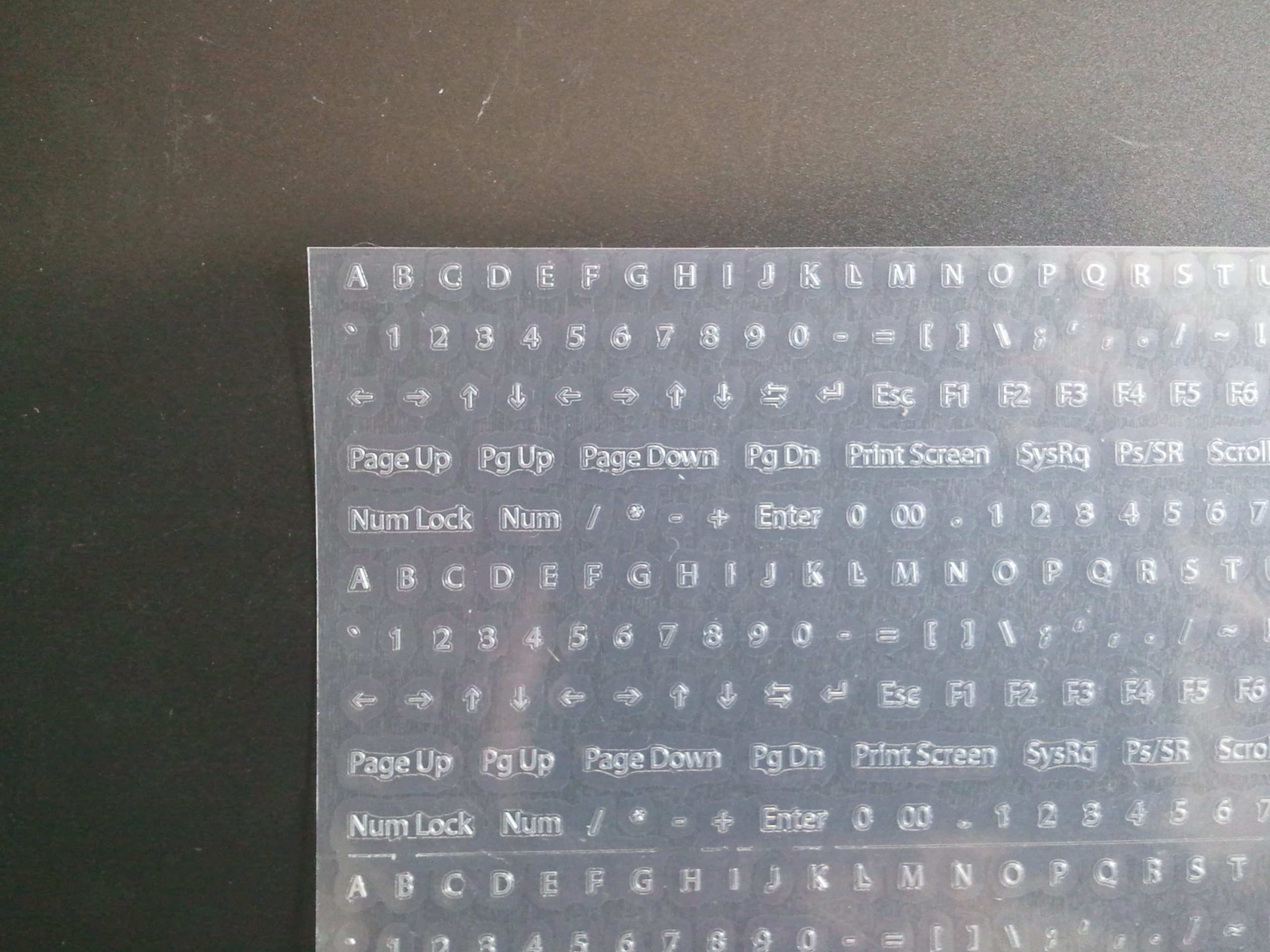 2011-06-09 11.55.50.jpg