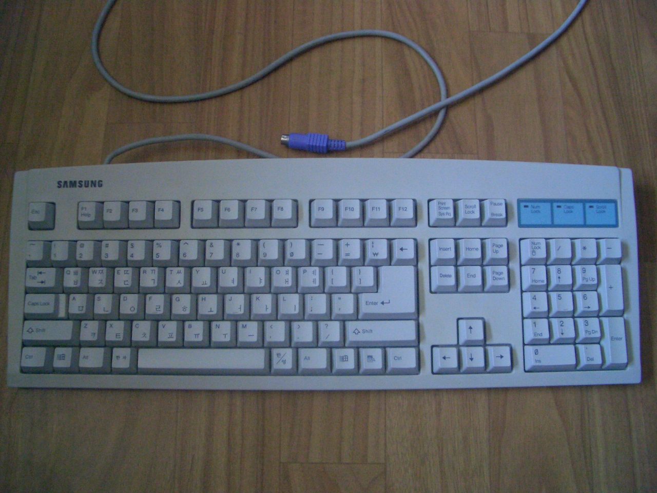 CIMG5044.JPG