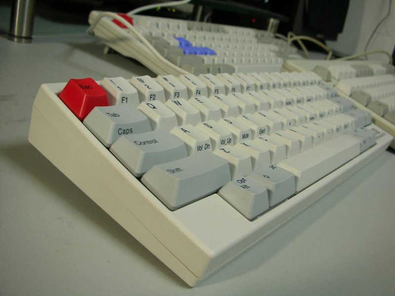 DSCN0731.jpg