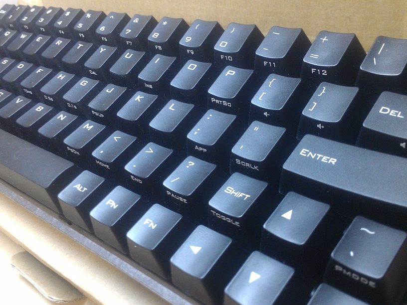 IMAG1244.jpg