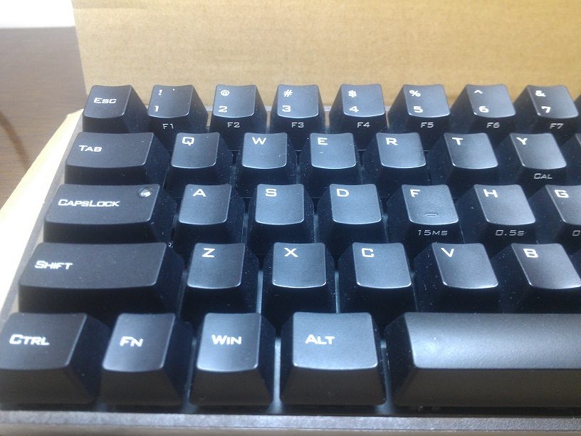 IMAG1247.jpg