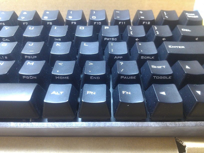 IMAG1246.jpg