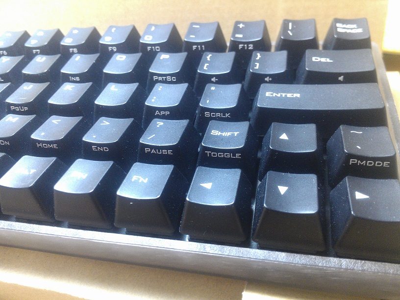 IMAG1248.jpg
