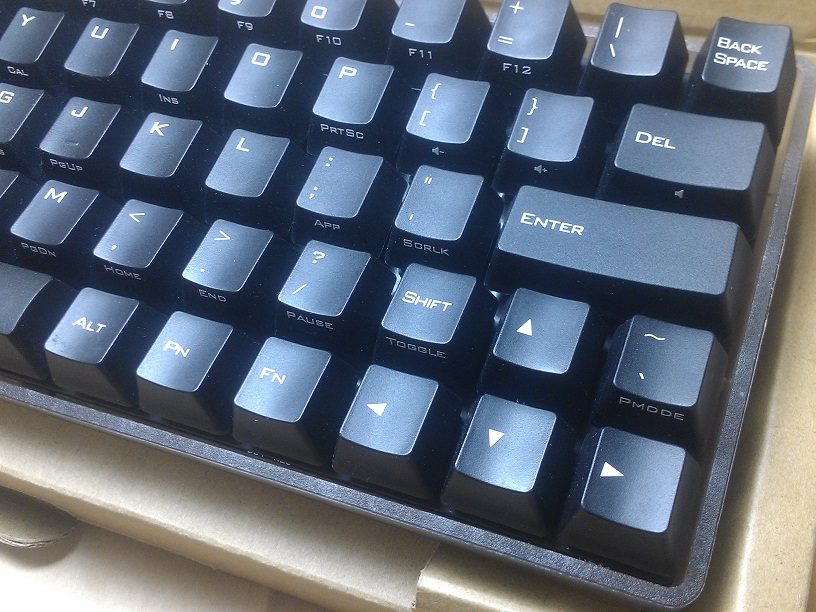 IMAG1242.jpg