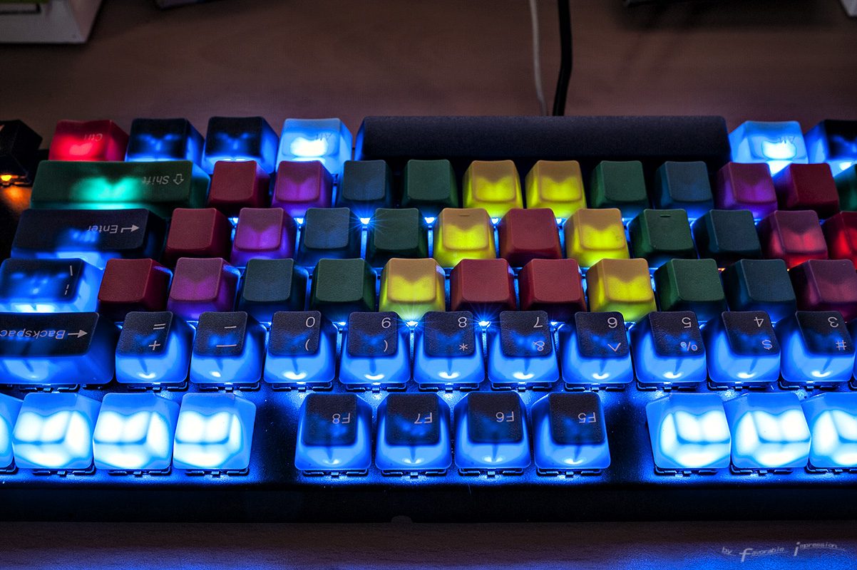 DSC_2425.jpg
