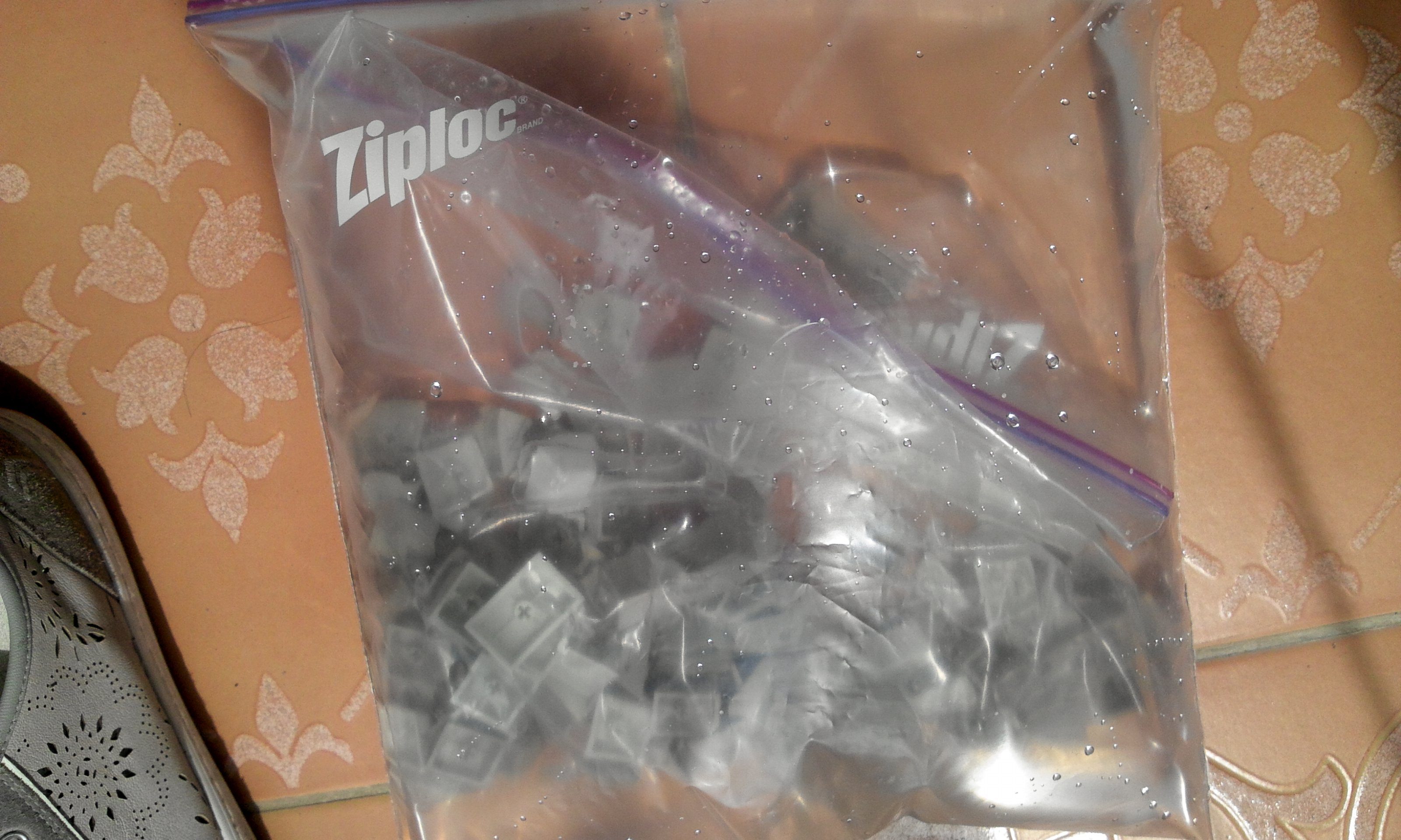 2012-04-24 12.43.36.jpg