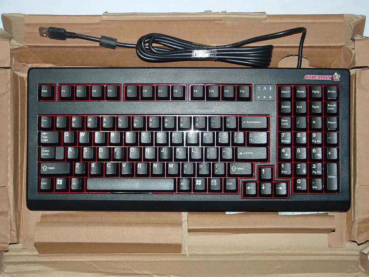 DSCF0214.JPG