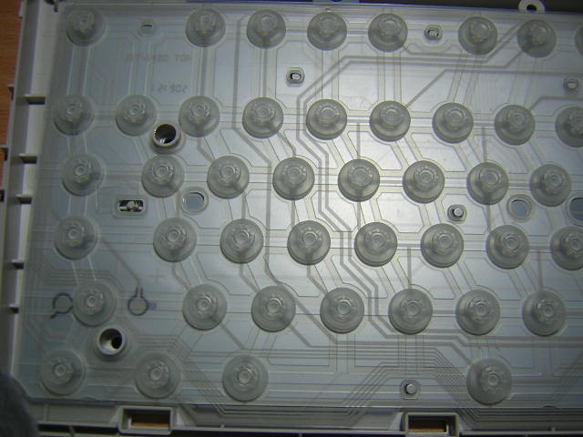 DSCN6563.JPG