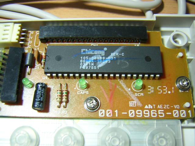 DSCN6564.JPG