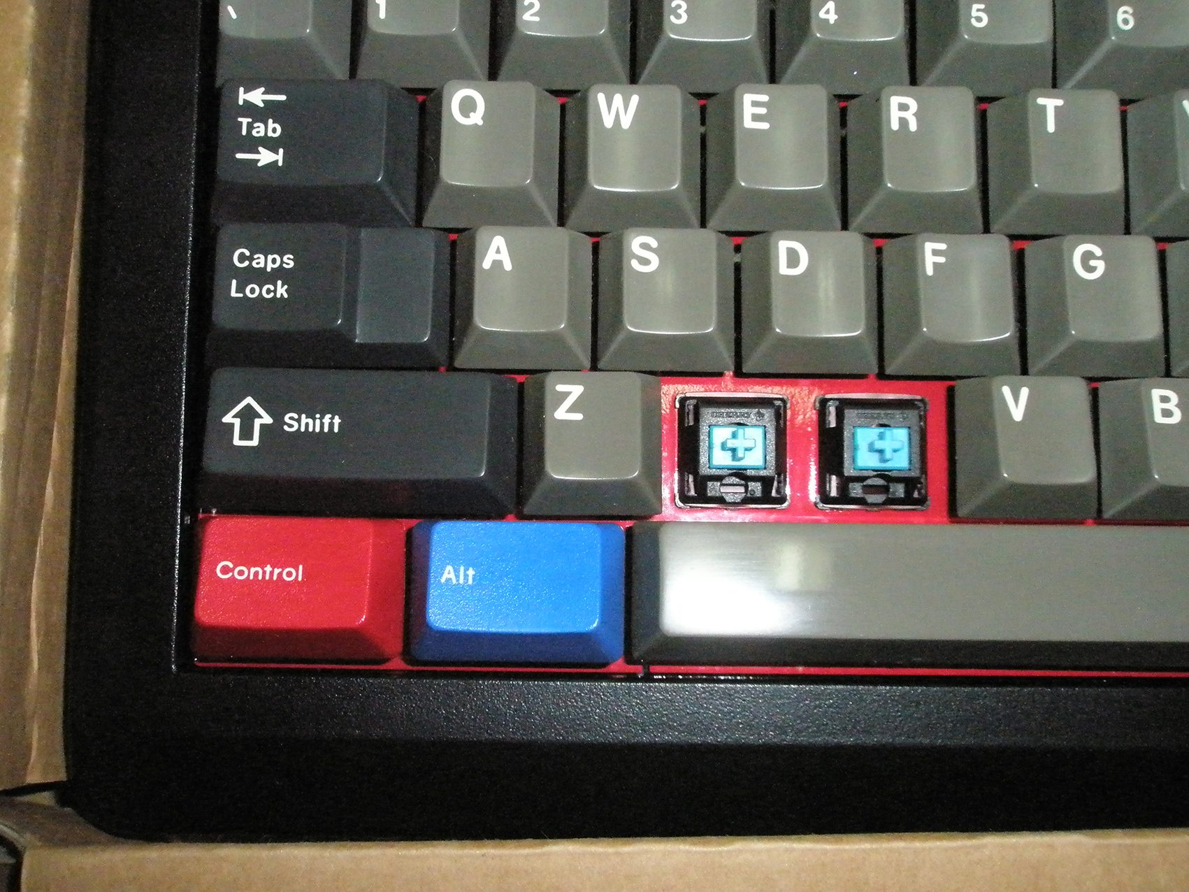 P1010015.JPG