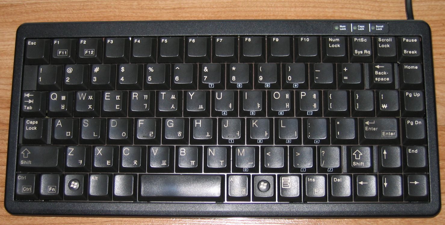 1.jpg