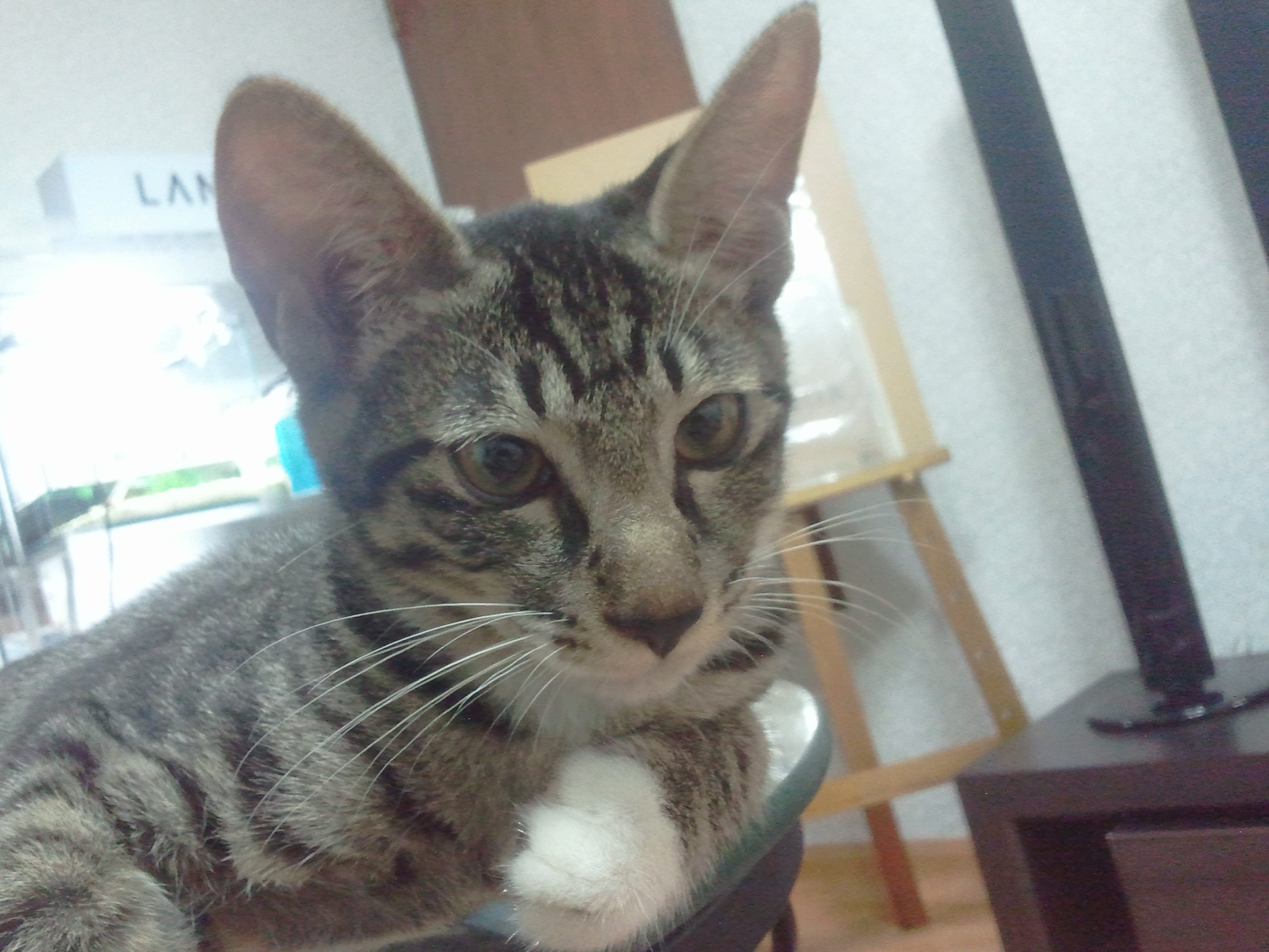 2010-08-16 22.18.41.jpg