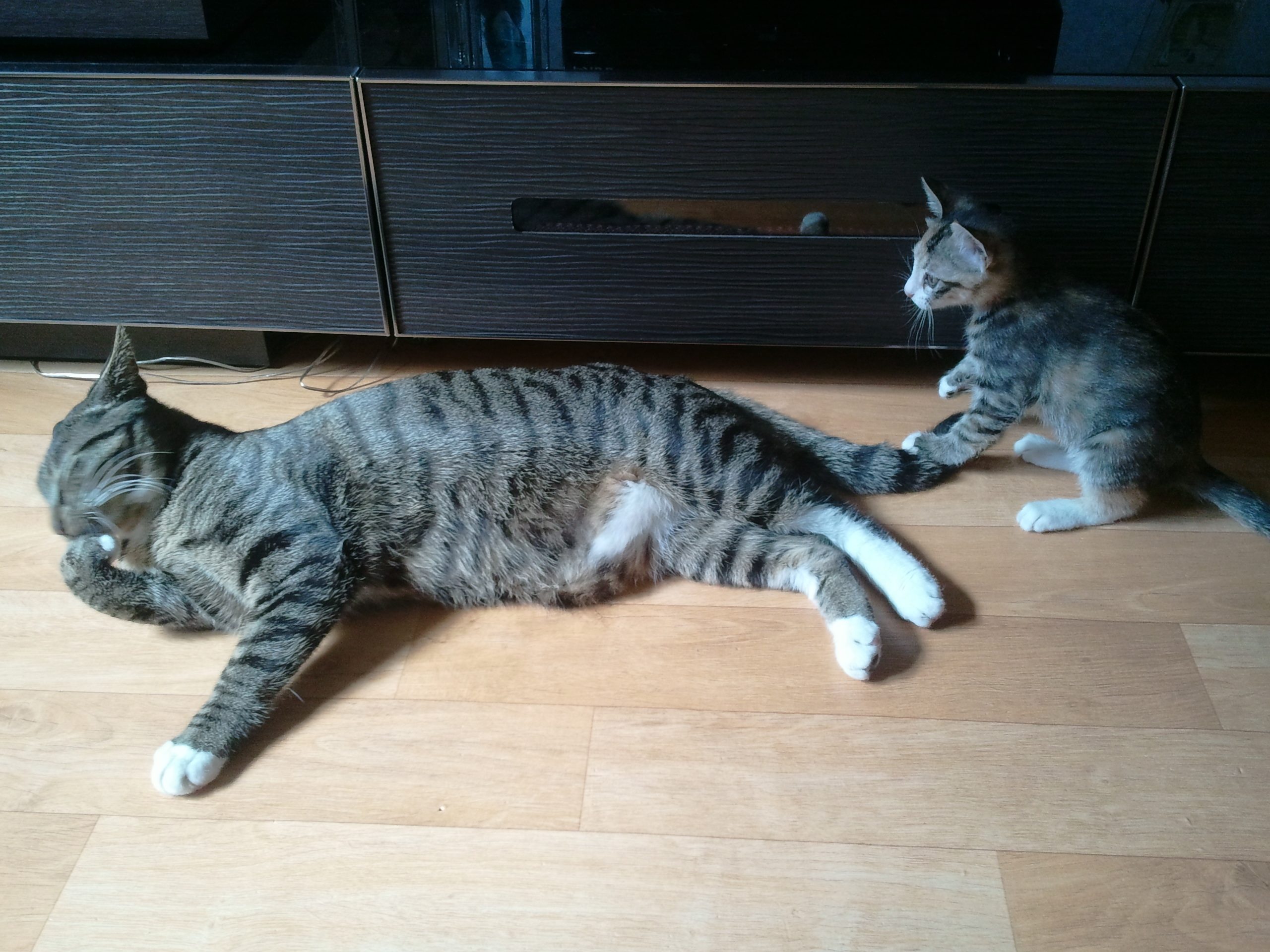 2011-03-02 12.02.32.jpg