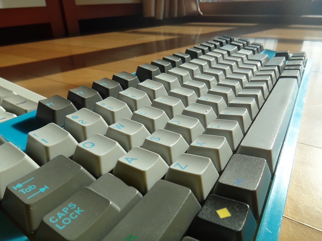 소와레1.jpg
