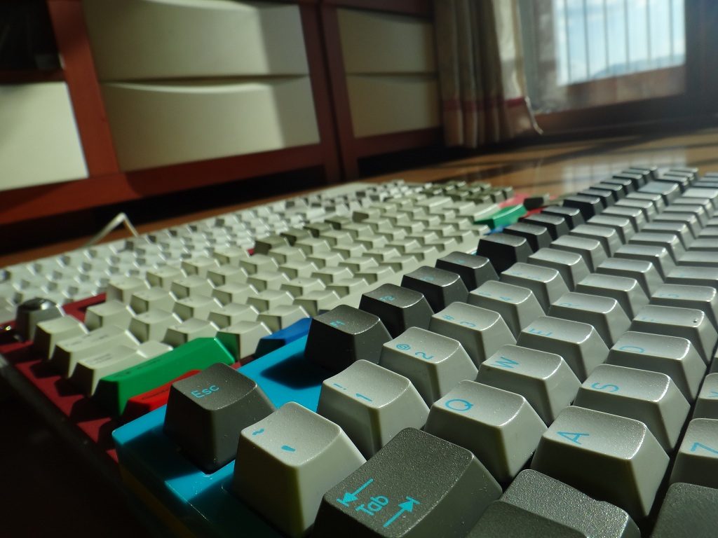 소와레측면1.jpg