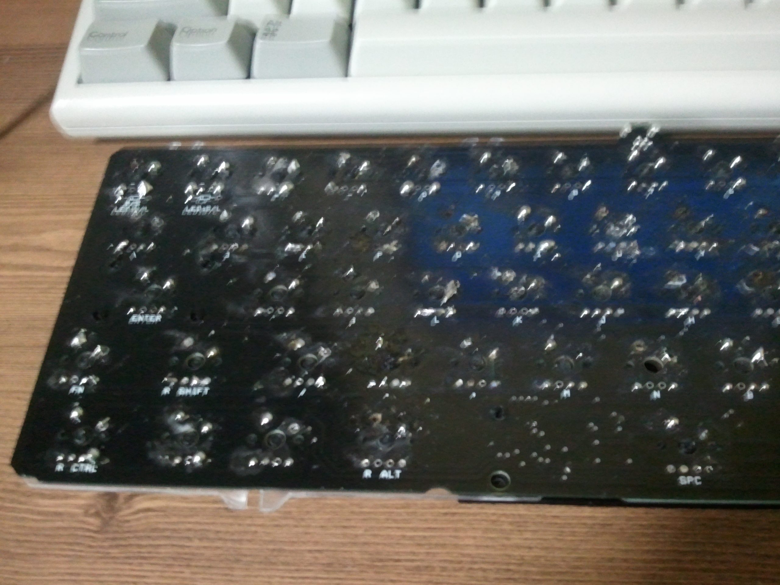 2011-02-17 20.56.14.jpg