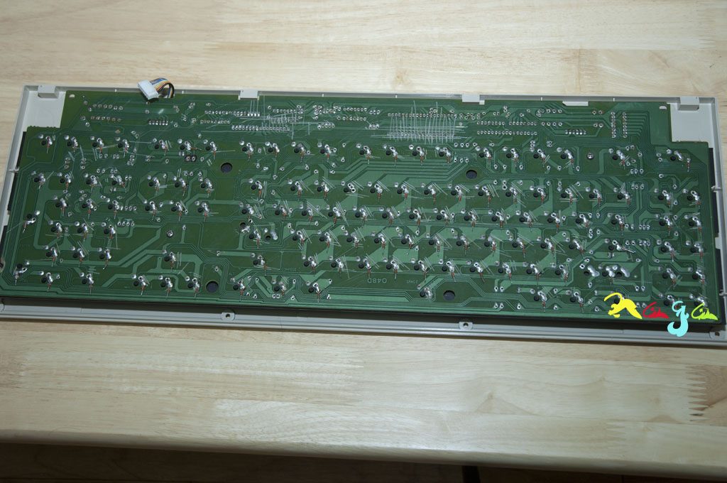 Sun5C-3.jpg