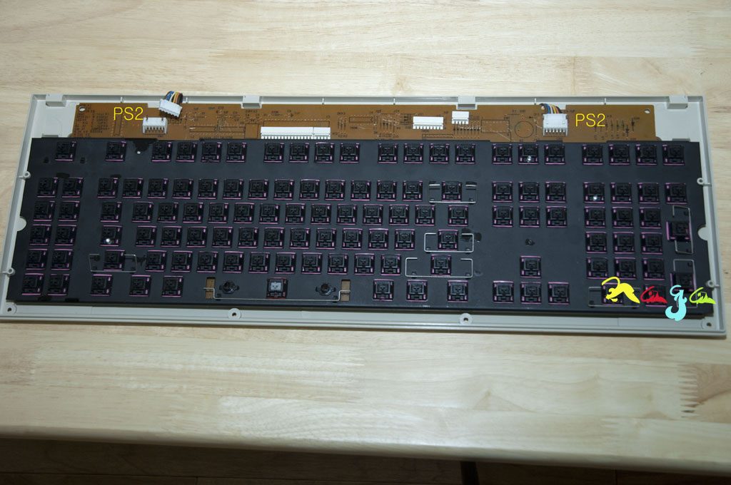 Sun5C-1.jpg