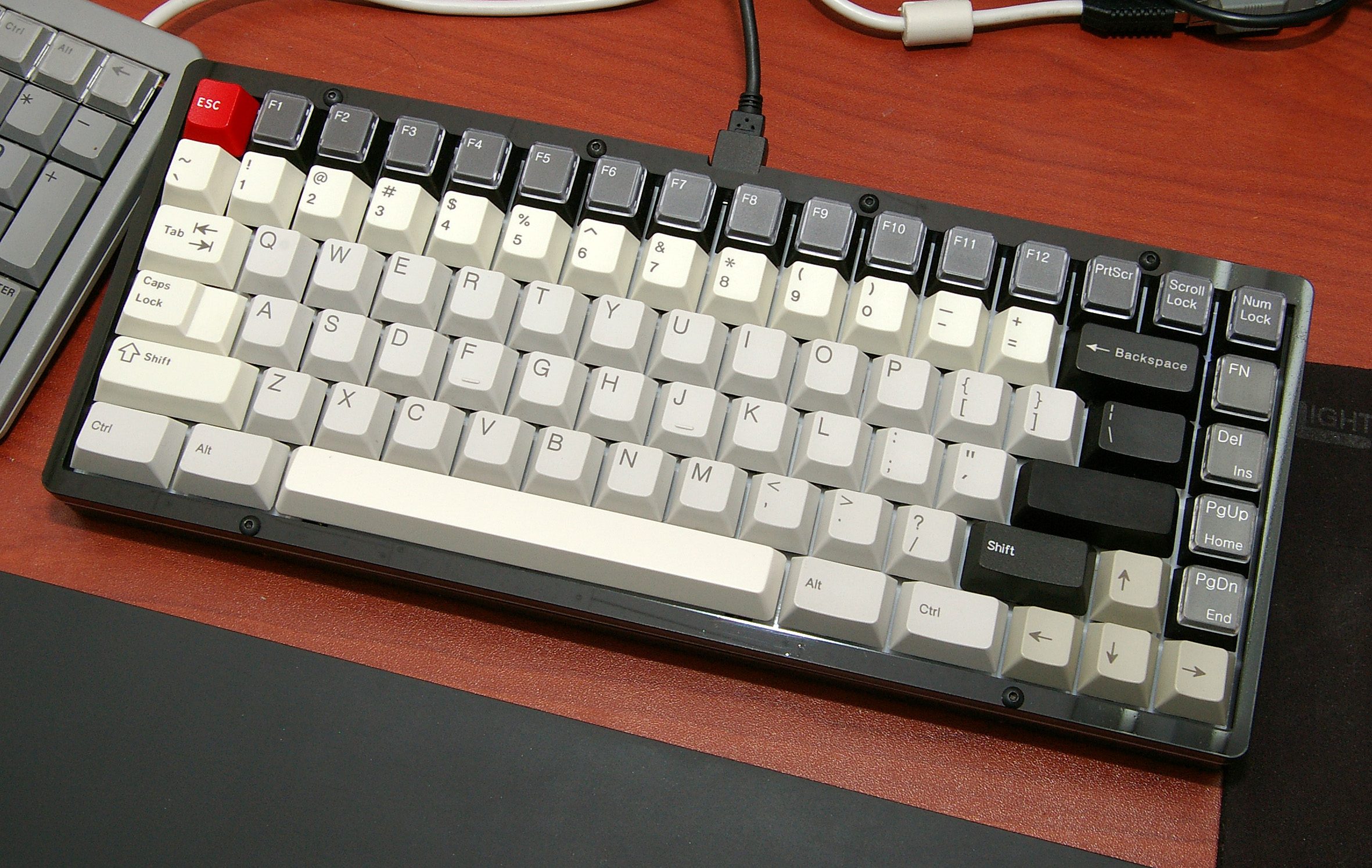 IMGP6050.JPG