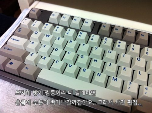 009.jpg