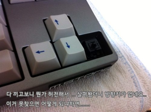 010 복사.jpg