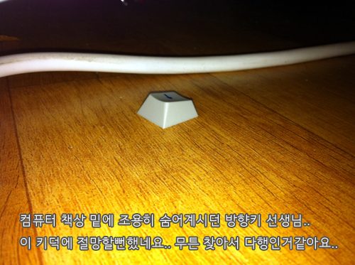 011.jpg