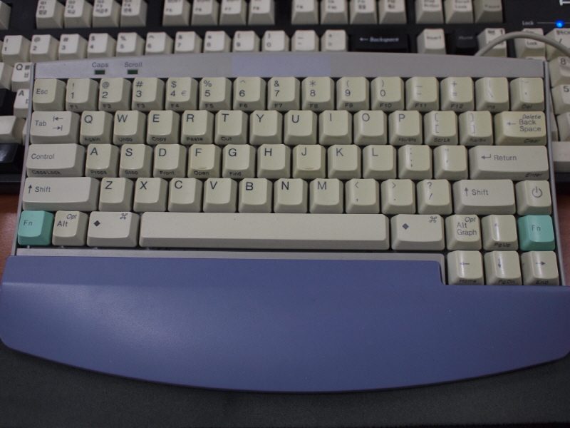 R_R__4030821.JPG